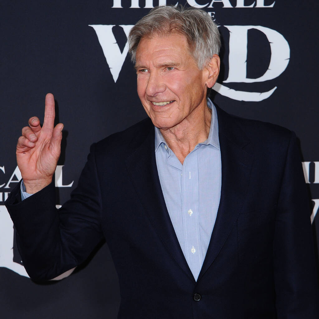 Bild von Harrison Ford