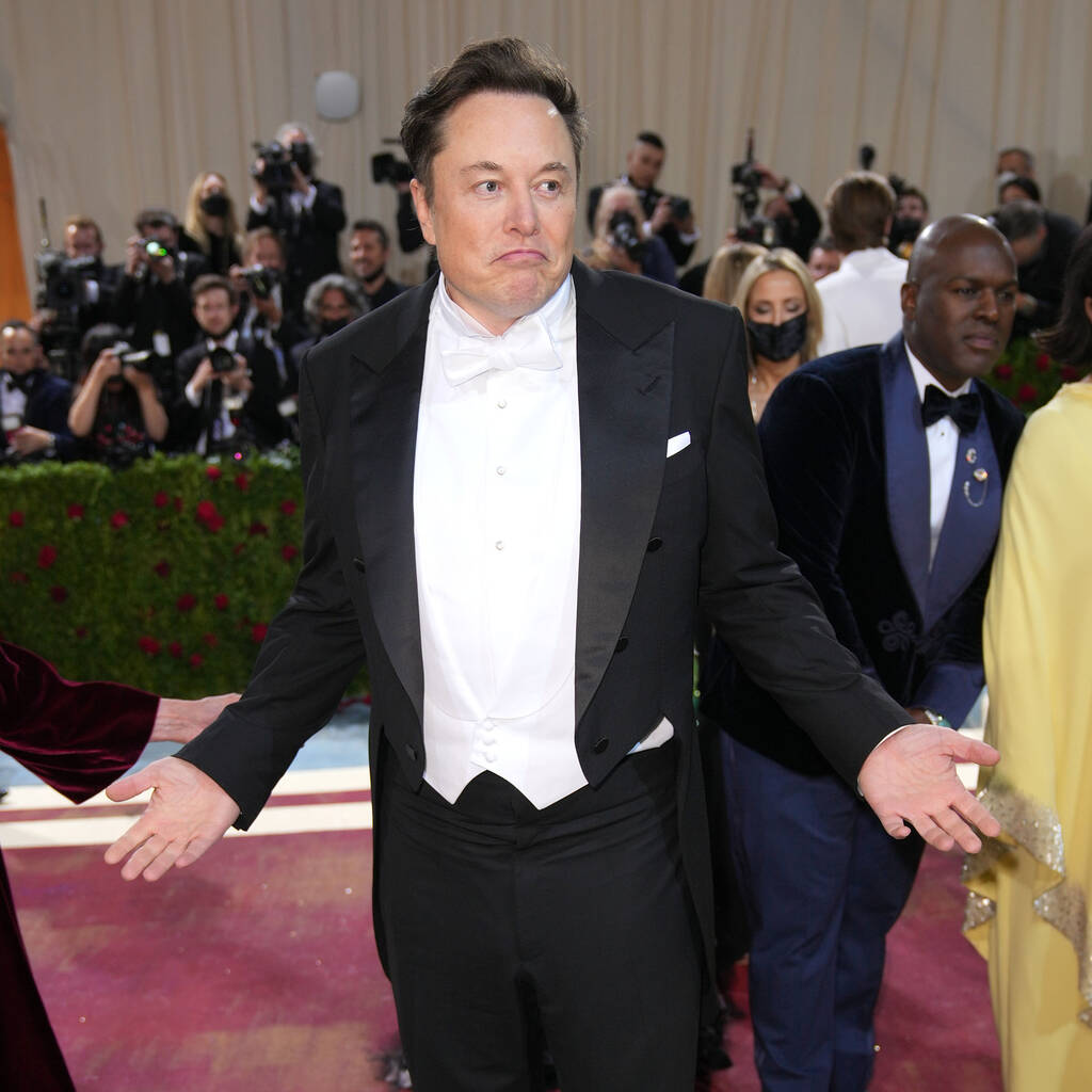 Bild von Elon Musk