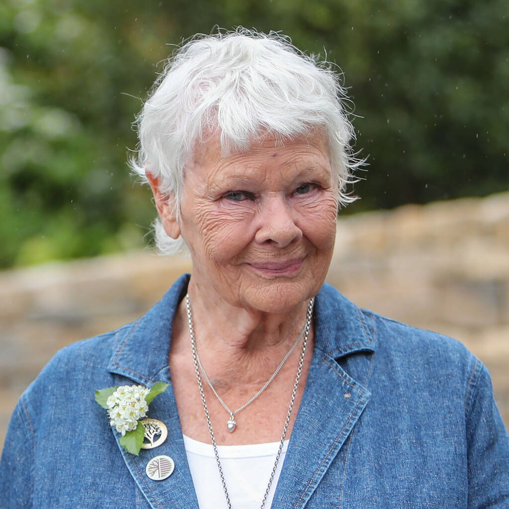 Judi Dench Bild von Judi Dench