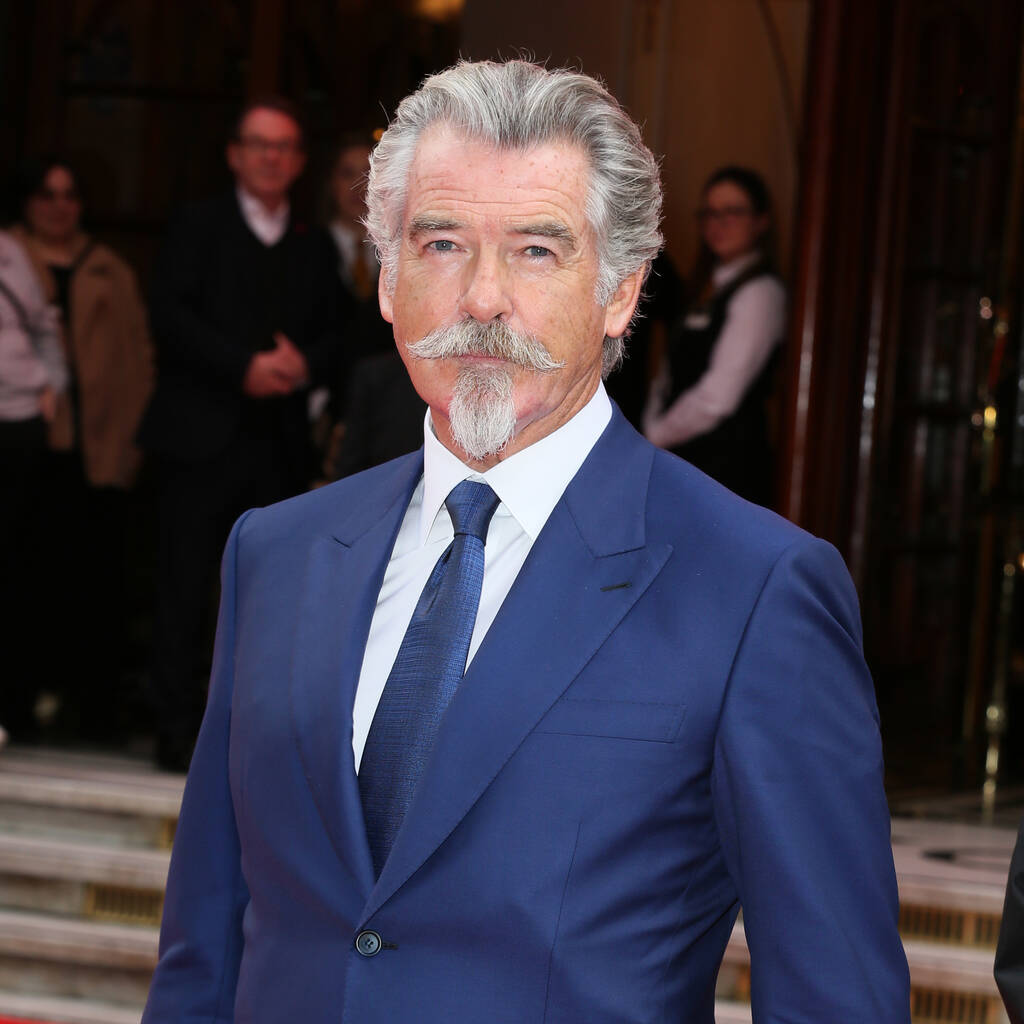 Bild von Pierce Brosnan