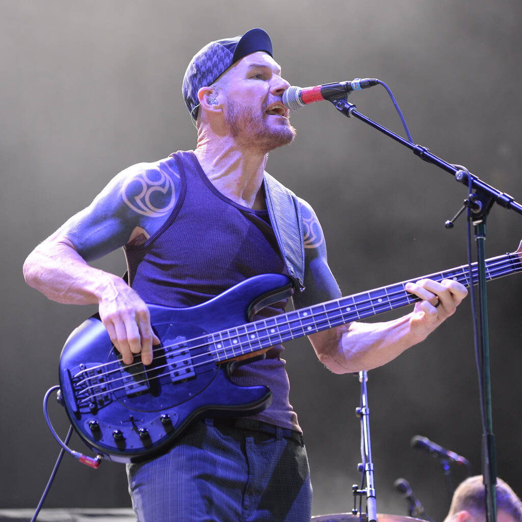 Bild von Tim Commerford