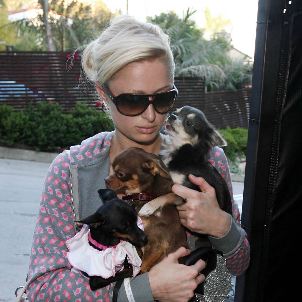 Paris Hilton Bild von Paris Hilton