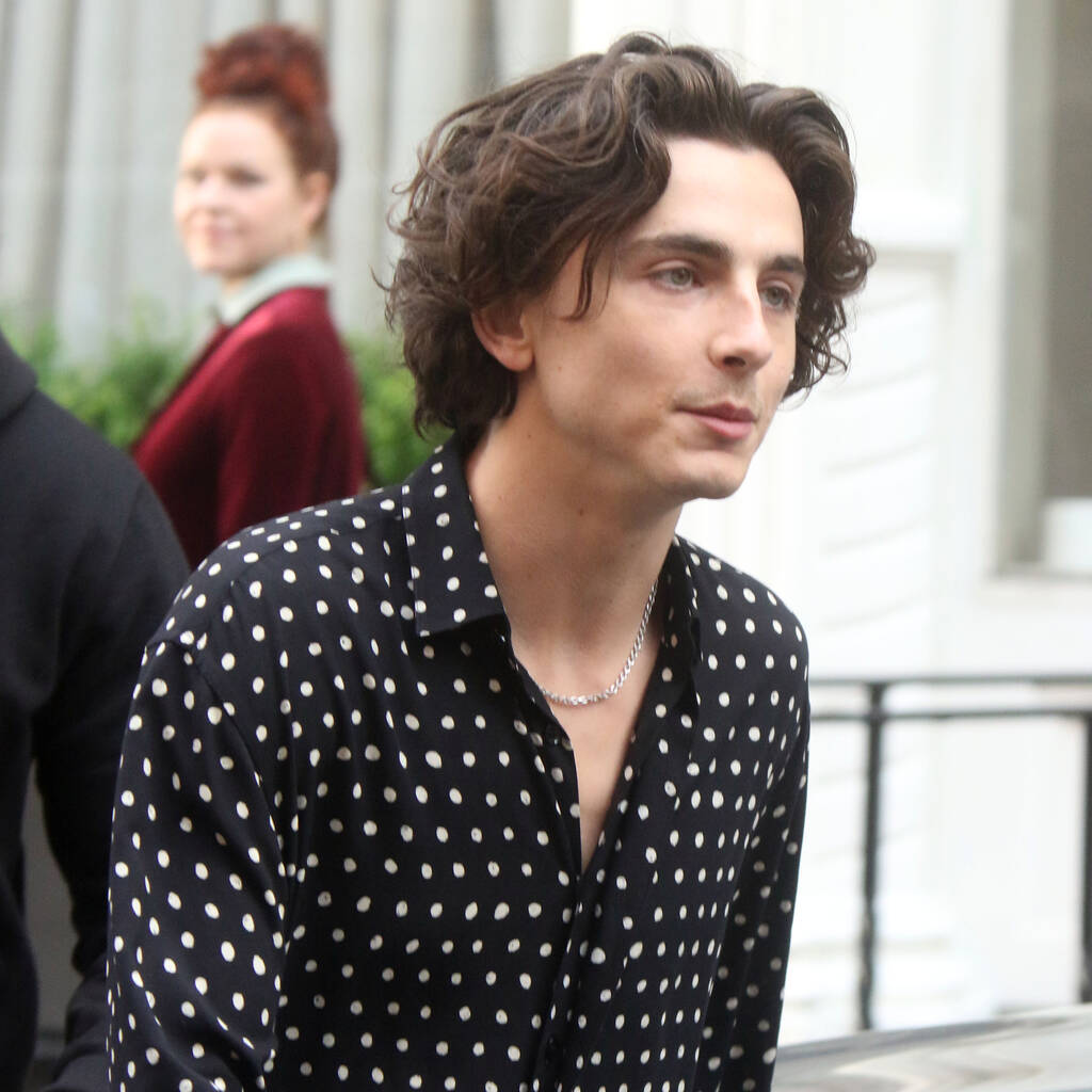 Bild von Timothée Chalamet