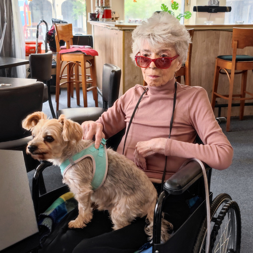 Bild von Ingrid Steeger