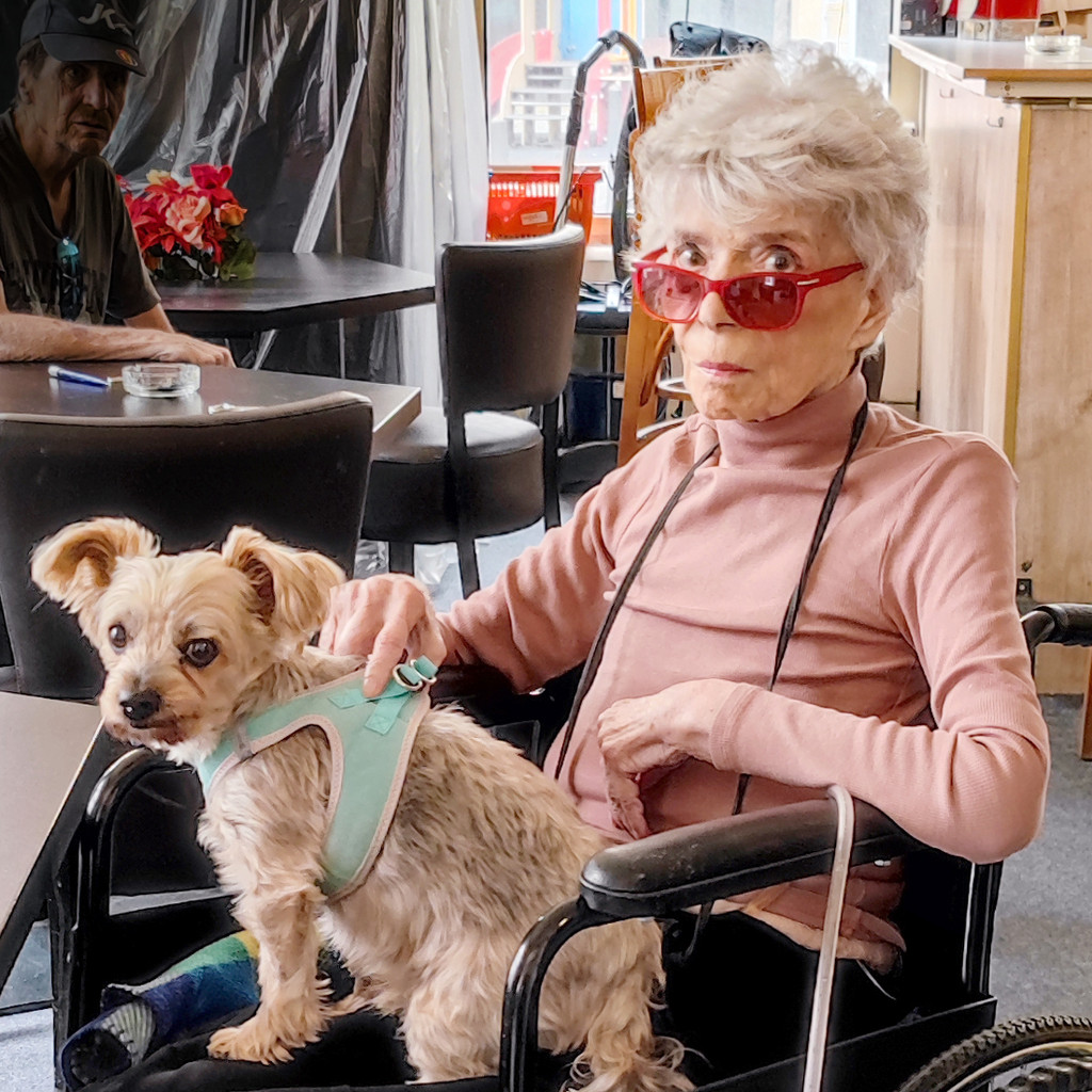 Bild von Ingrid Steeger